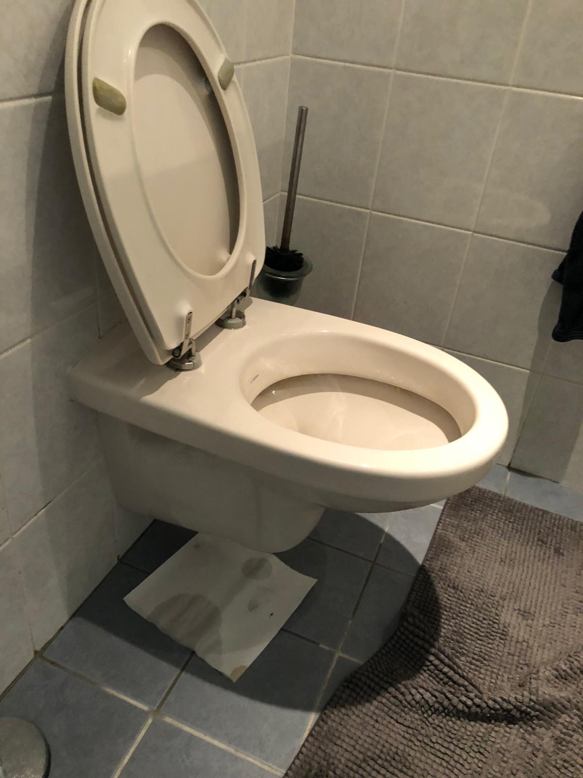 hangtoilet Vaassen